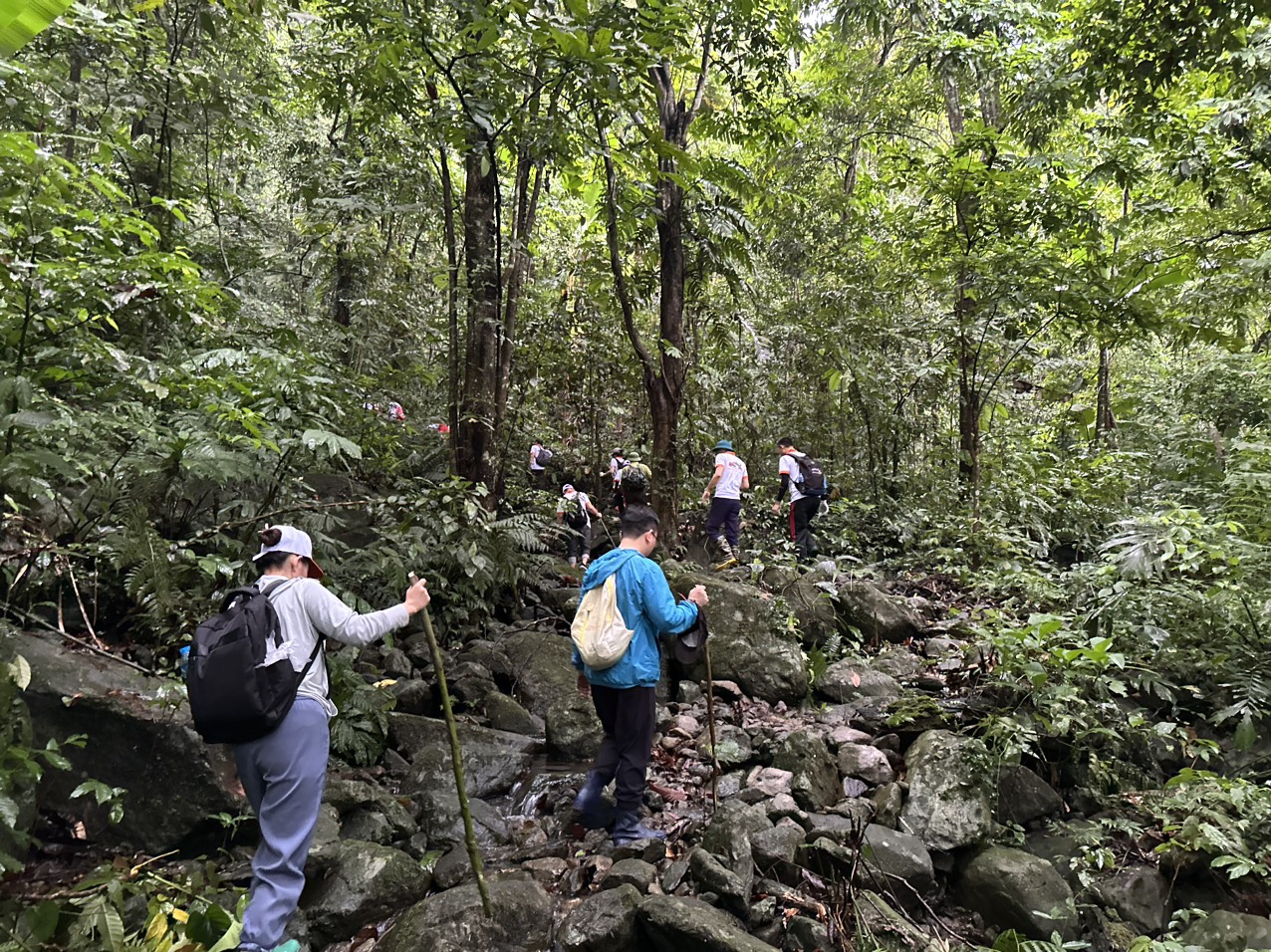 trekking in Tam Dao - World Mate Travel